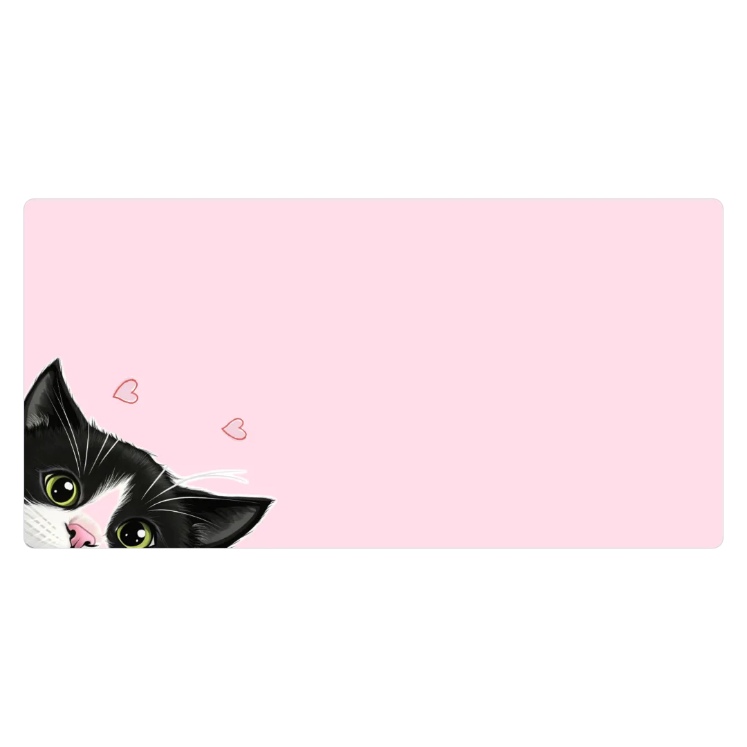 Gatito gordo