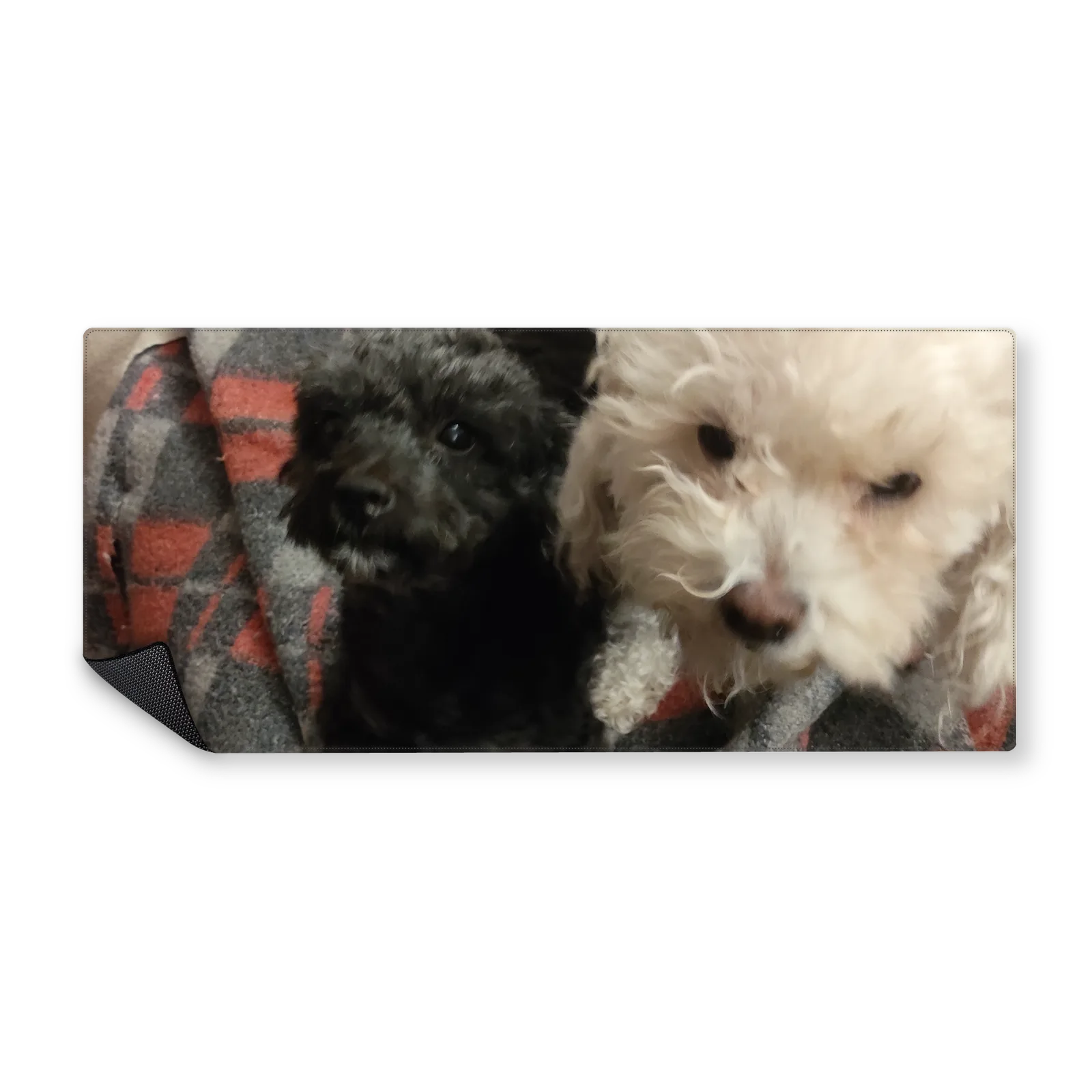 Mousepad Leia y Cleo 90x40 PRO | Custom