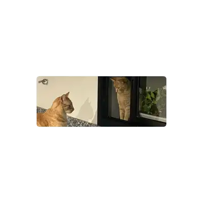 Mousepad Regalo para Casa 82x32 PRO | Custom
