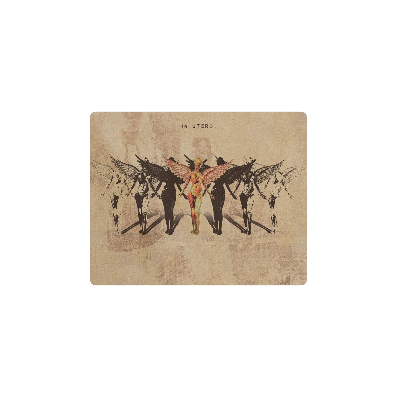 In Utero