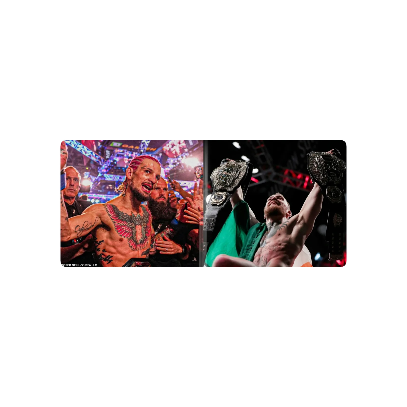 ufc
