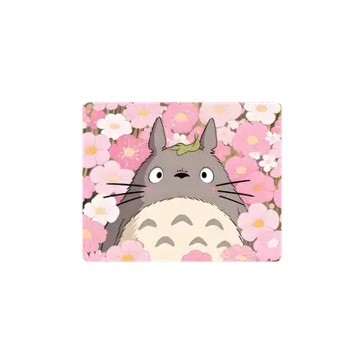 Mousepad Totoro 50x40 Classic | Custom