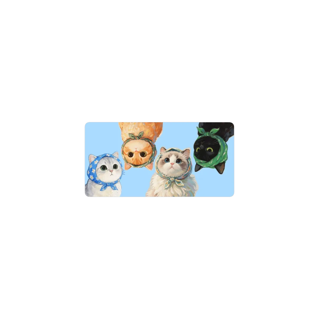 gato ce