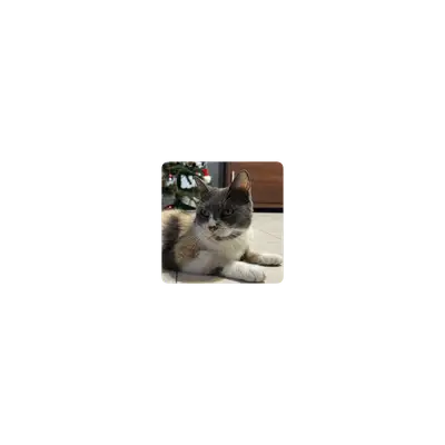Mousepad Mousepad Katy 25x25 PRO | Custom