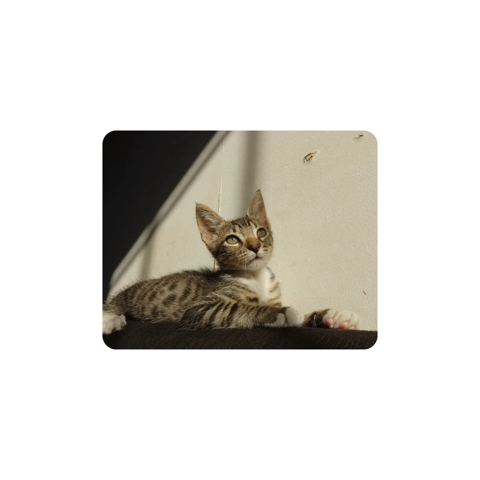 Mousepad Mendy 50x40 PRO | Custom