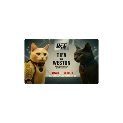 Mousepad UFC Cats 50x30 PRO | Custom