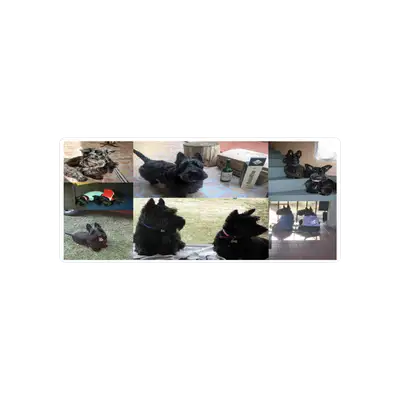 Mousepad scottish 90x40 Classic | Custom