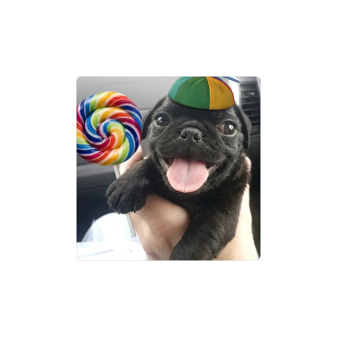 chinchu