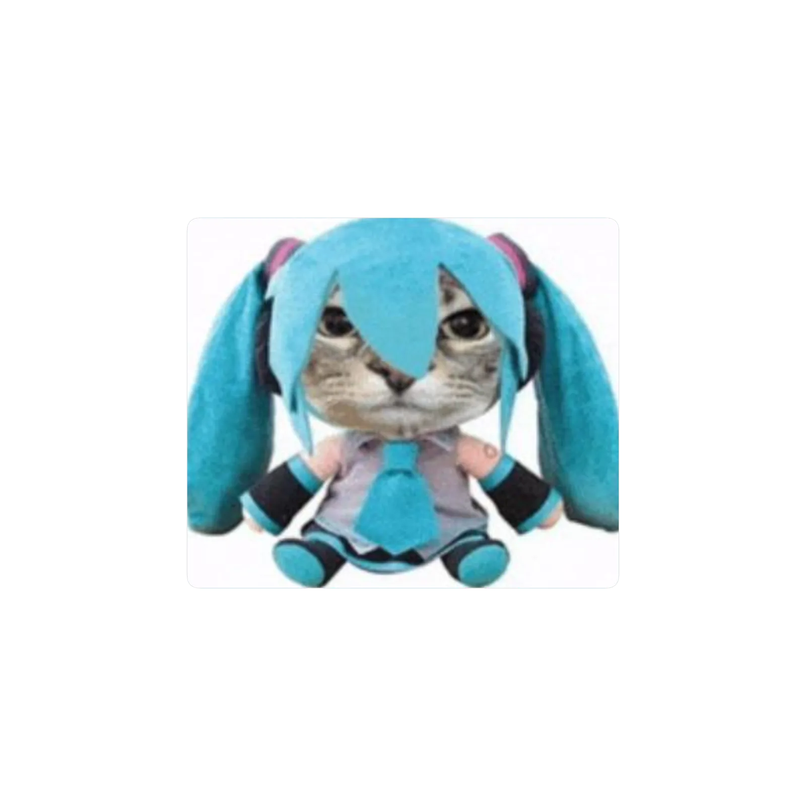 catsunemiku