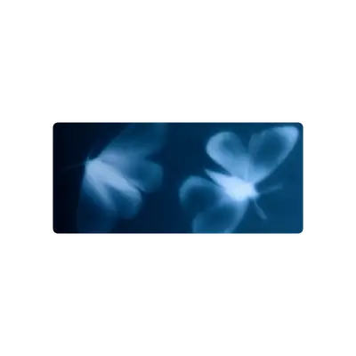 Mousepad Mariposas 90x40 PRO | Custom