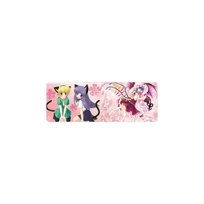 Mousepad Palol 70x25 Classic | Custom