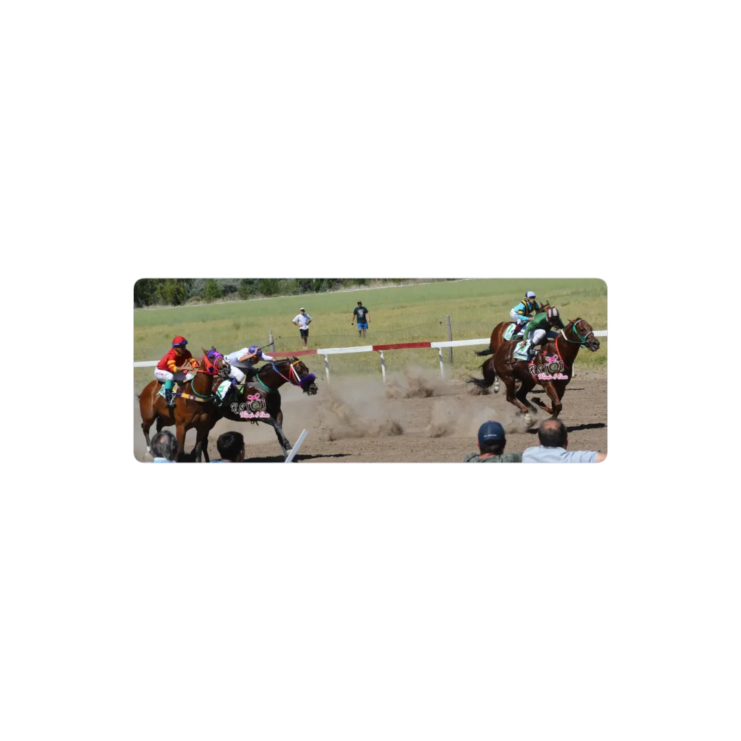 Caballos del sur