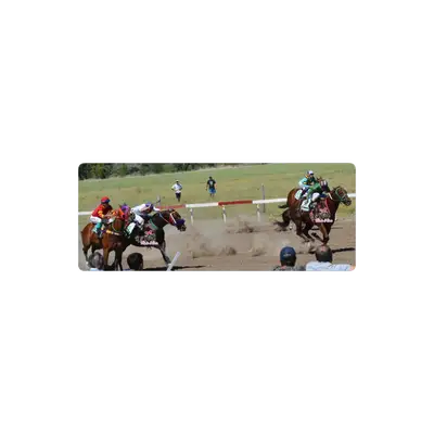 Mousepad Caballos del sur 82x32 Classic | Custom