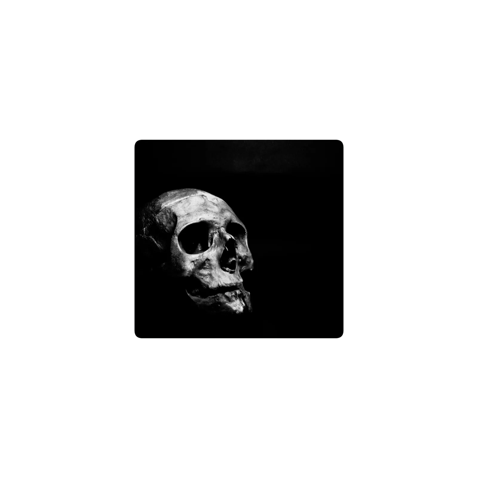 calavera blanca