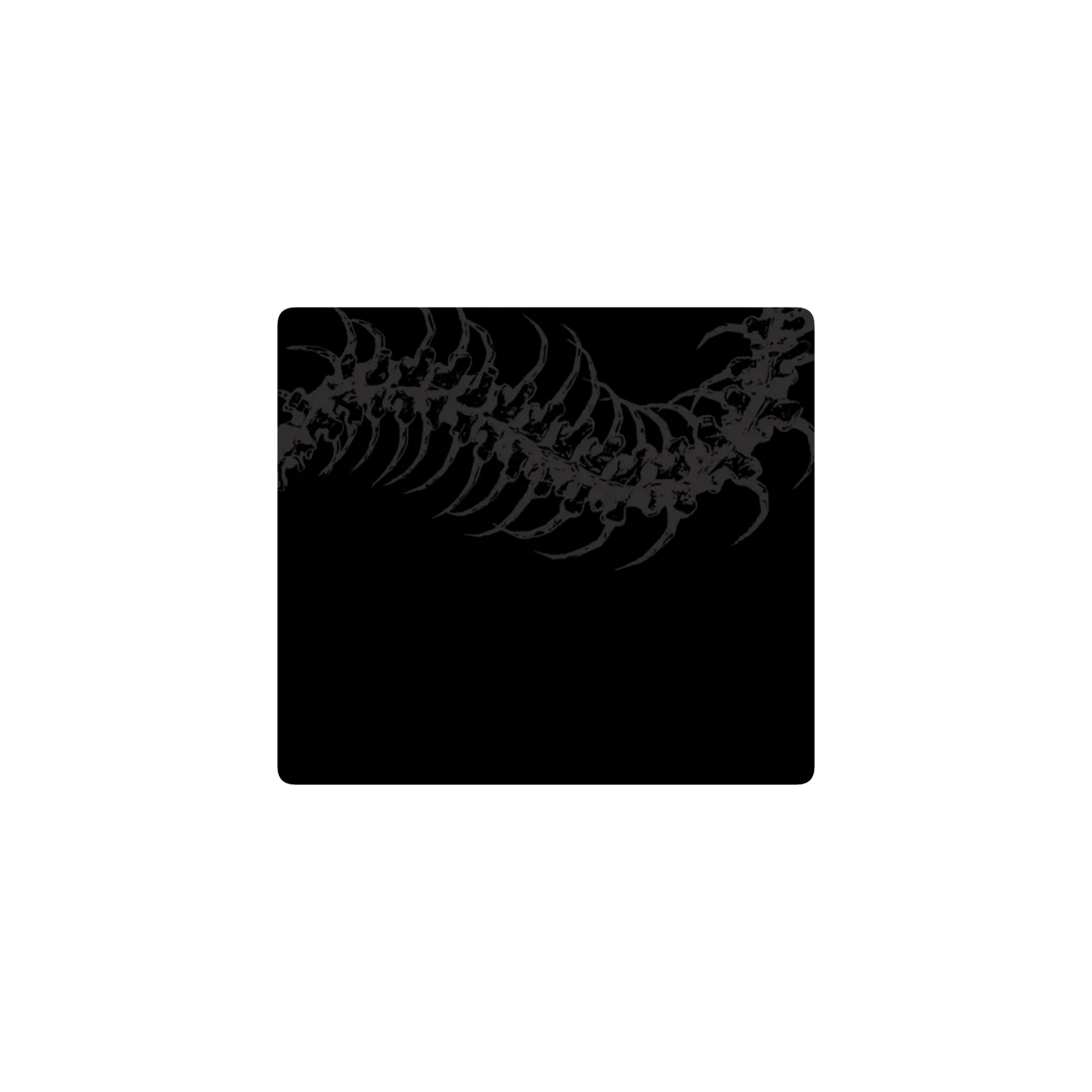 centipede