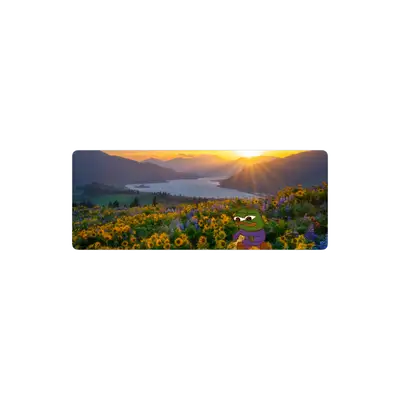 Mousepad PepeValle 82x32 Classic | Custom