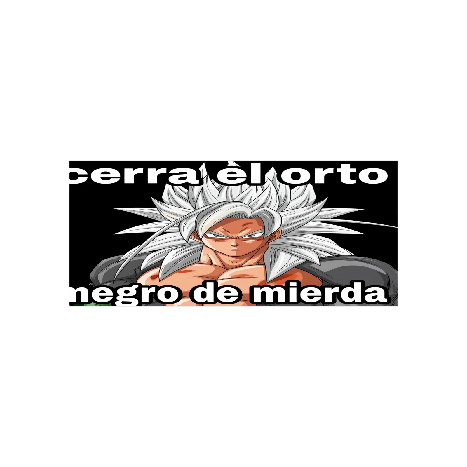 No soy racista lo juro por dieguito mara