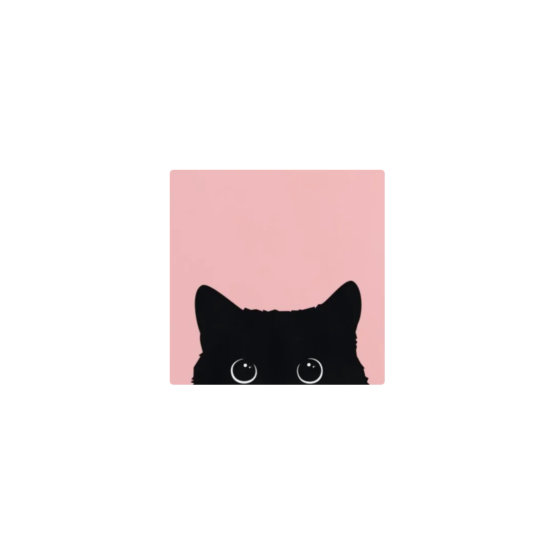 kuro neko