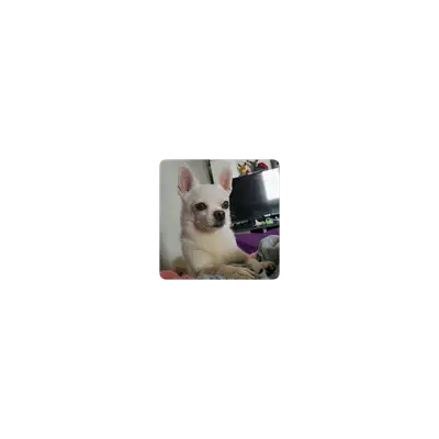 Mousepad Mateo al óleo 25x25 PRO | Custom