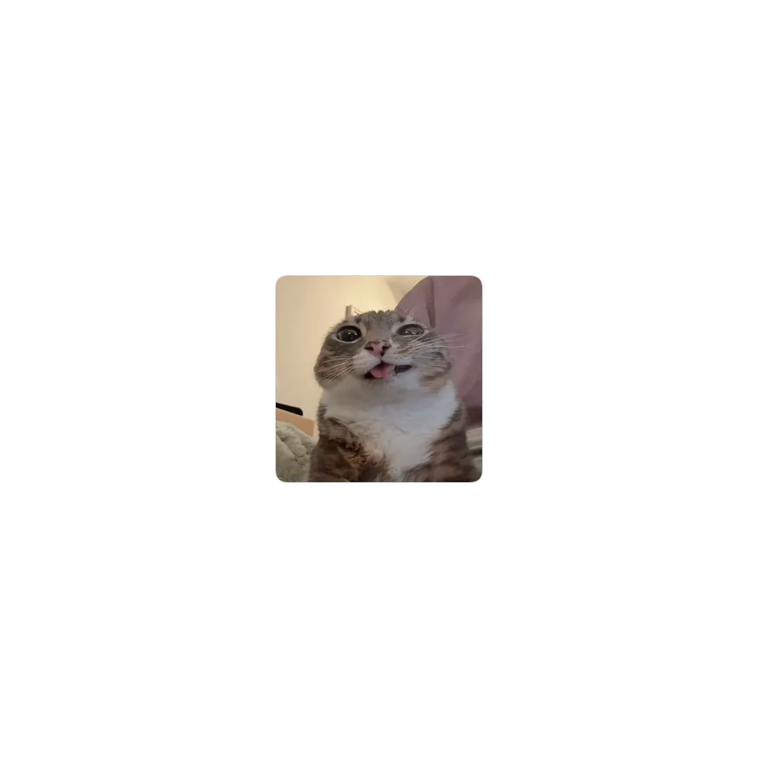 Rigby Cat