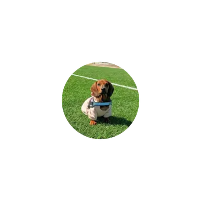 Mousepad Thiago 25x25 Form Classic | Custom