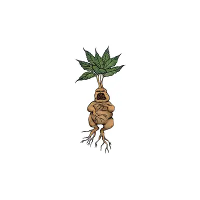 Mousepad Mandragora 25x37 Classic | Custom