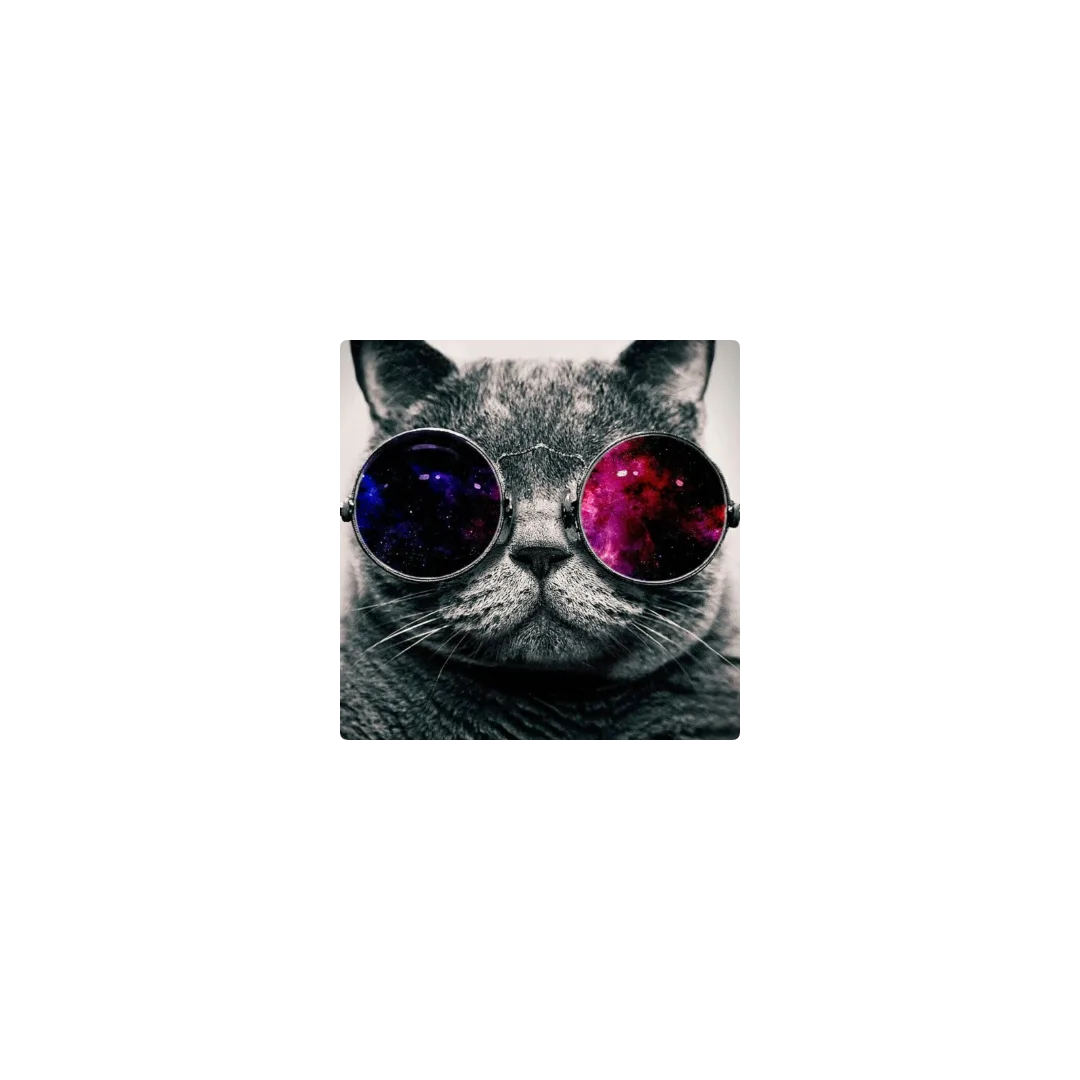 Gatos