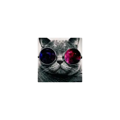 Mousepad Gatos 20x20 Classic | Custom