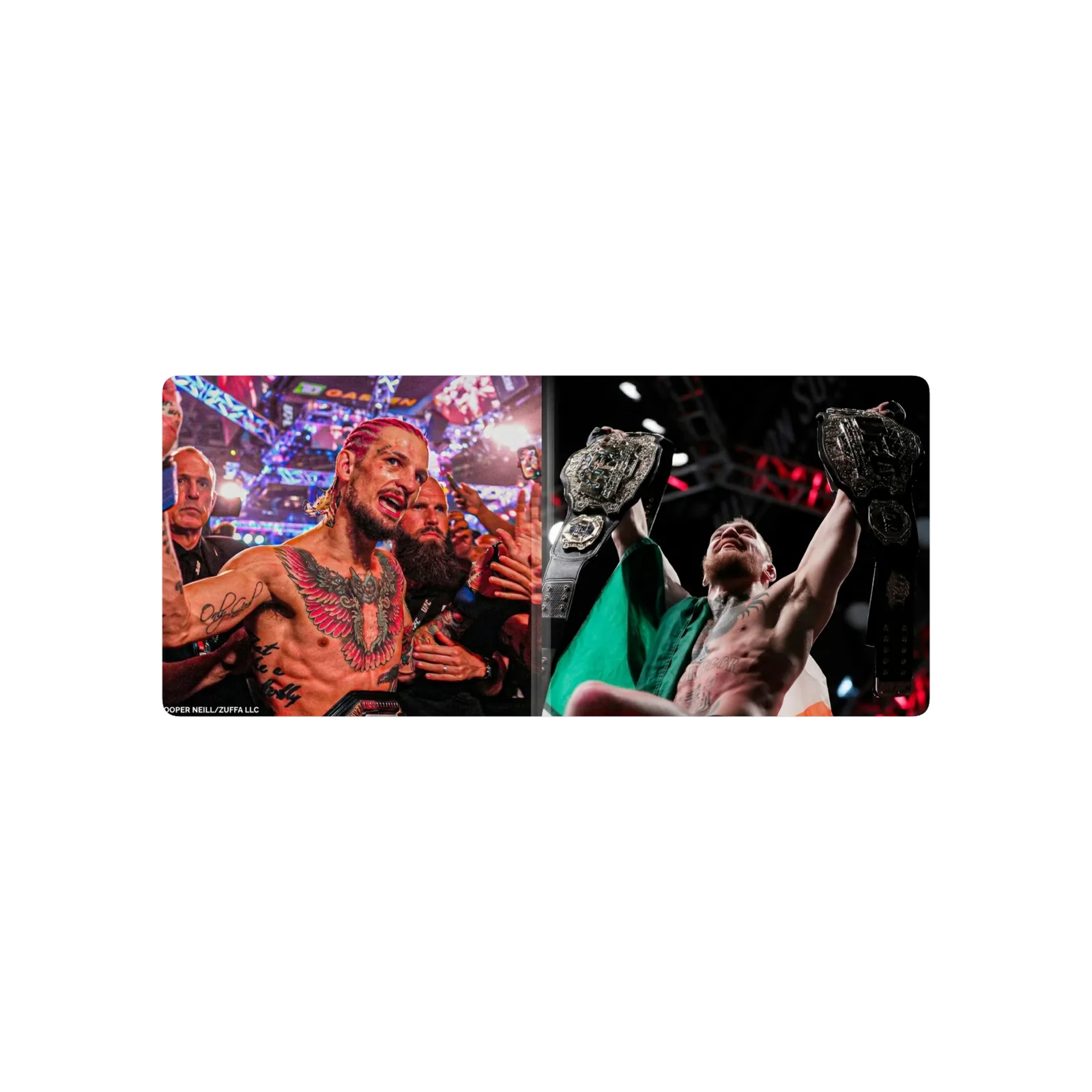 ufc p
