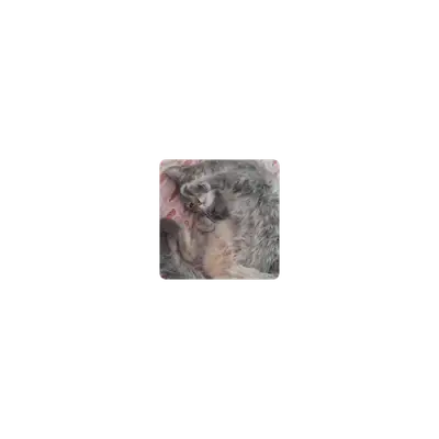 Mousepad pitusinha gato 25x25 Classic | Custom