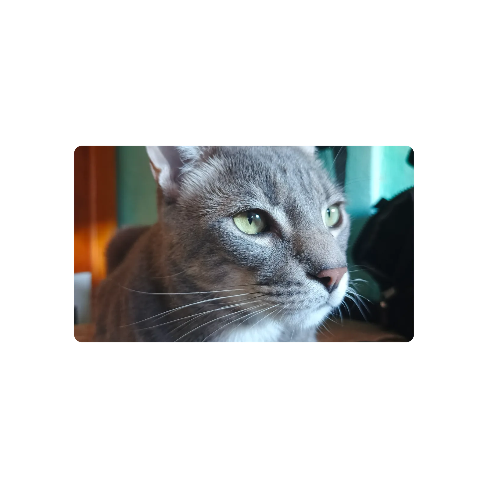 Mousepad Romeo Gato perlado 61x35 Classic | Custom