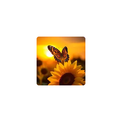 Mousepad Mariposa en girasol 25x25 Classic | Custom