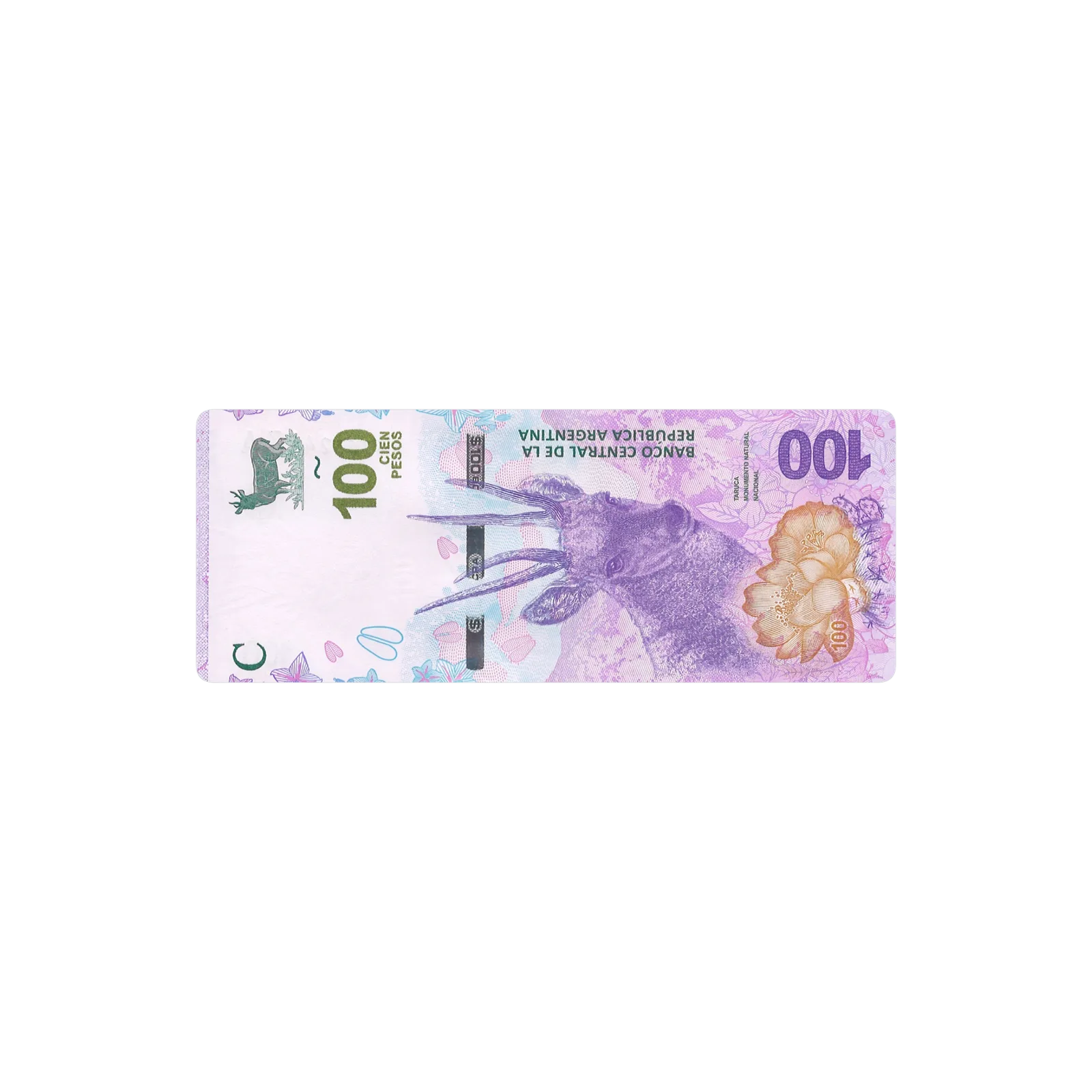 100 pesos