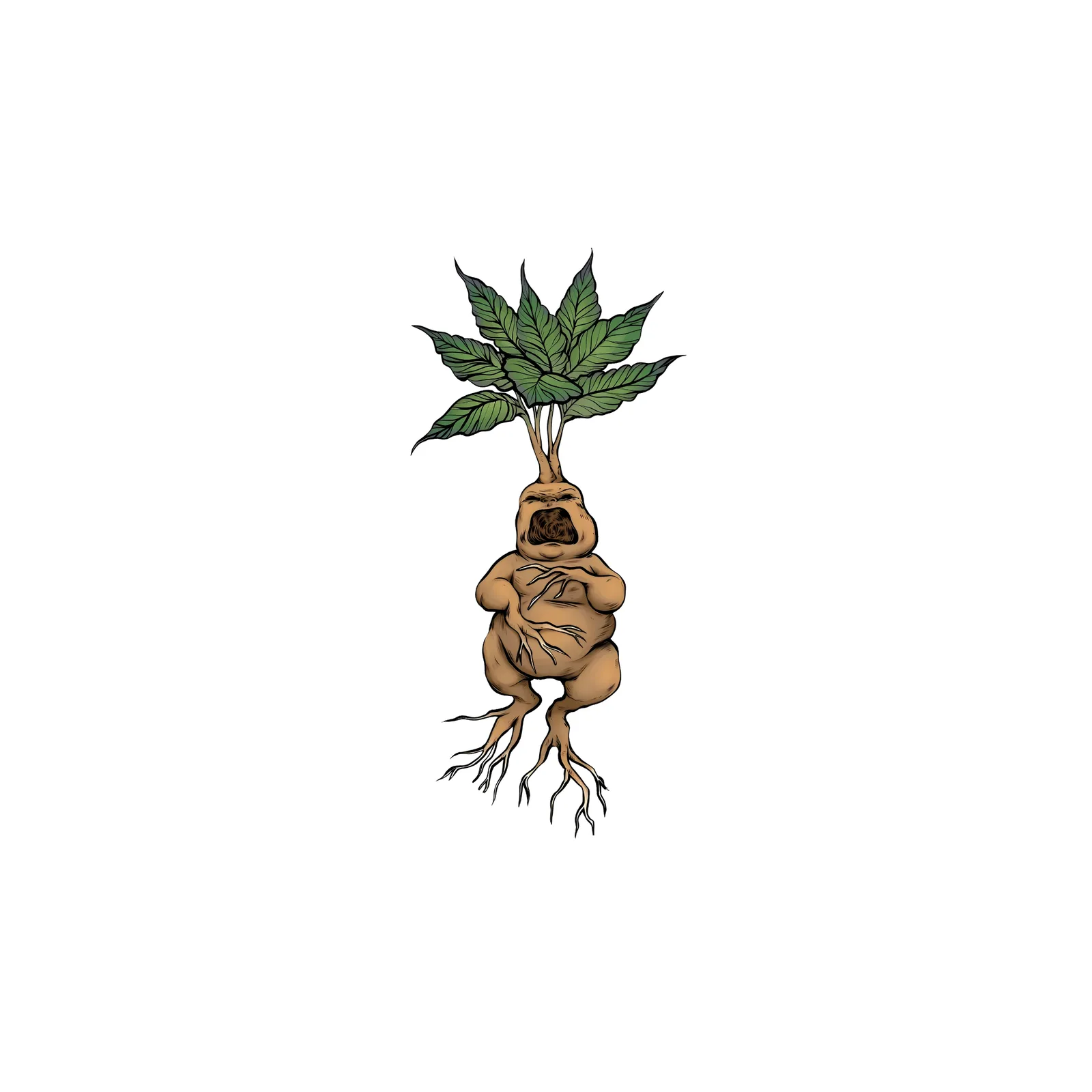 Mousepad Mandragora 25x37 Classic | Custom