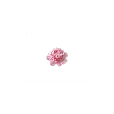 Mousepad peonia rosa mar 50x40 PRO | Custom