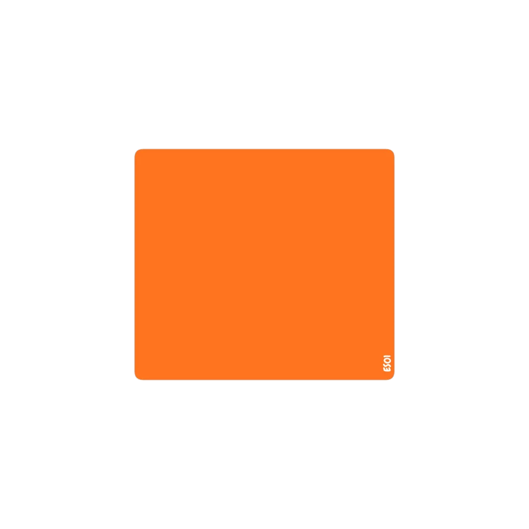 ES01