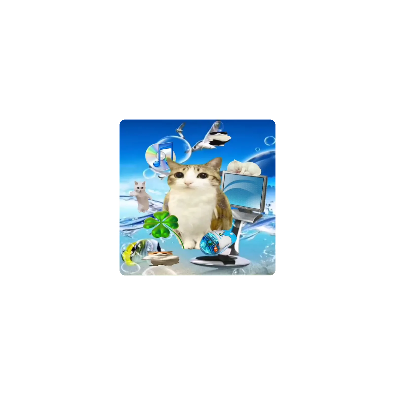 Mousepad MEOWL 25x25 PRO | Custom