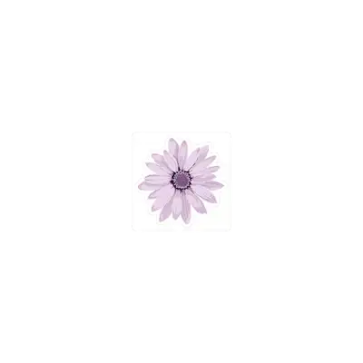 Mousepad Flower Violet Form 25x25 PRO | Custom