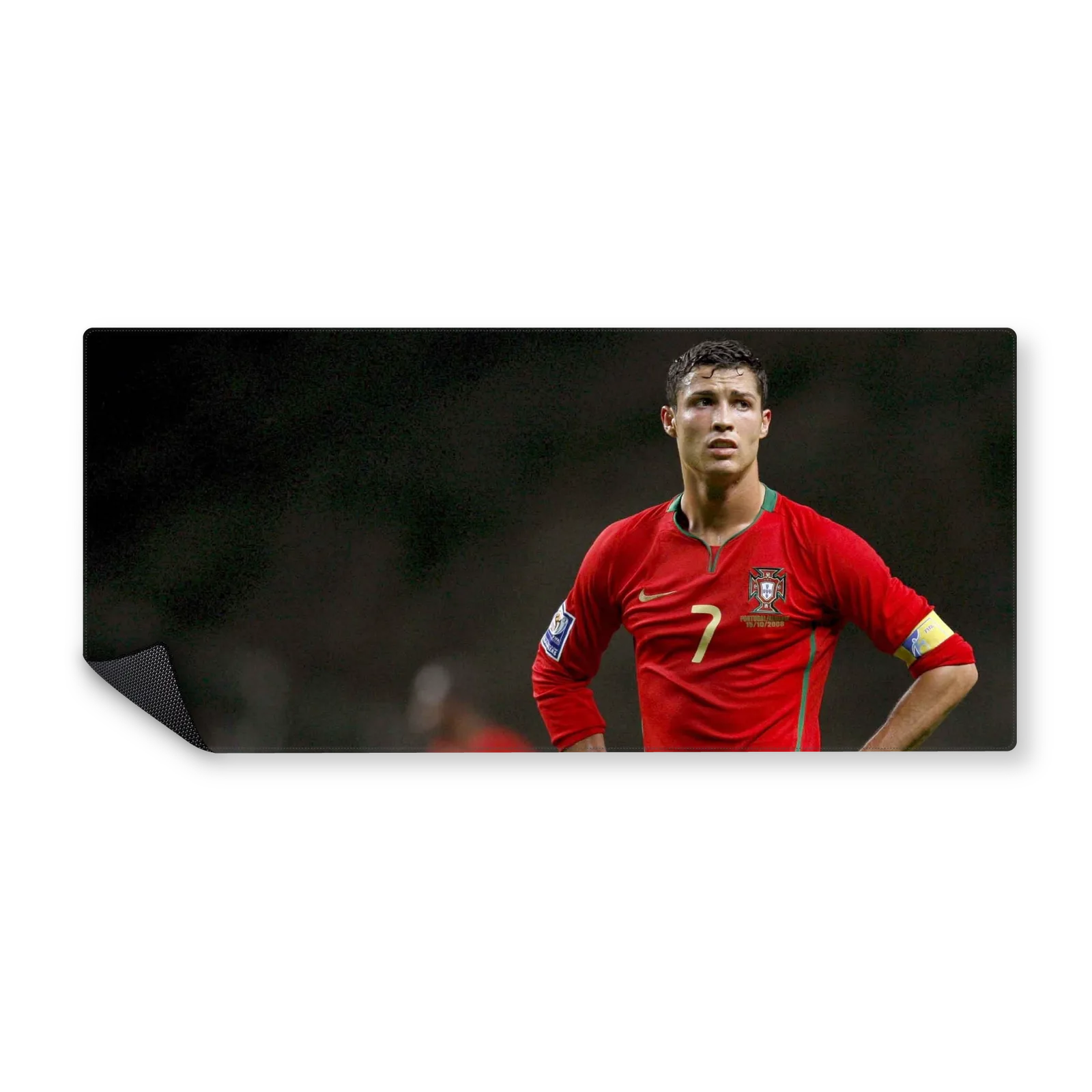 Mousepad El Bicho 90x40 Classic | Custom
