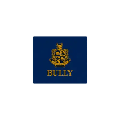 Mousepad BULLY 40x35 PRO | Custom