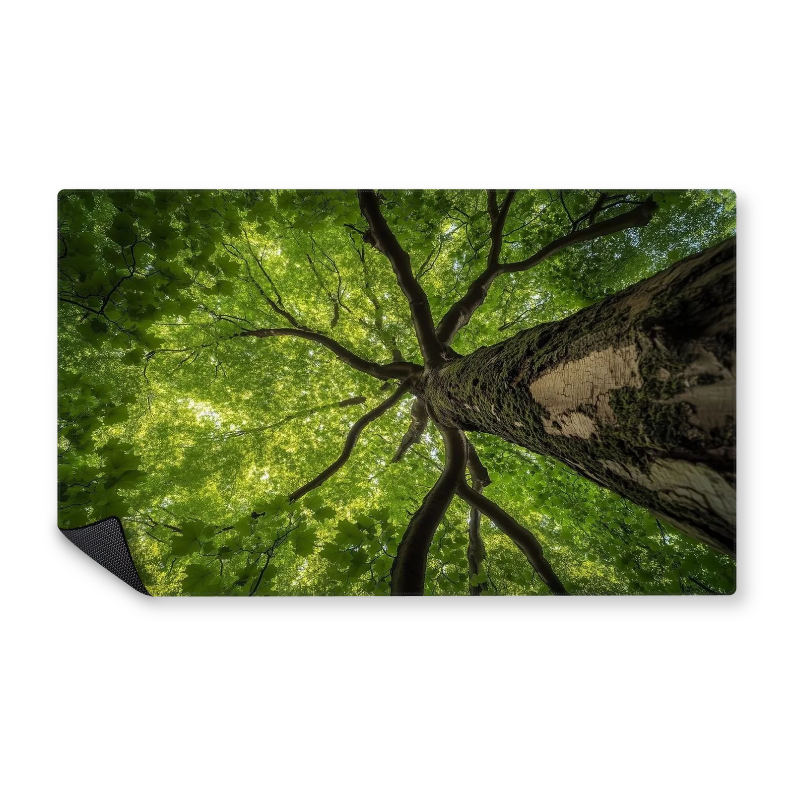 Mousepad Inmensidad Arborea 100x60 Classic | Custom