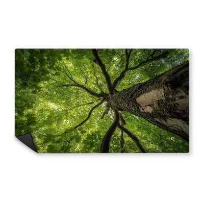 Mousepad Inmensidad Arborea 100x60 Classic | Custom