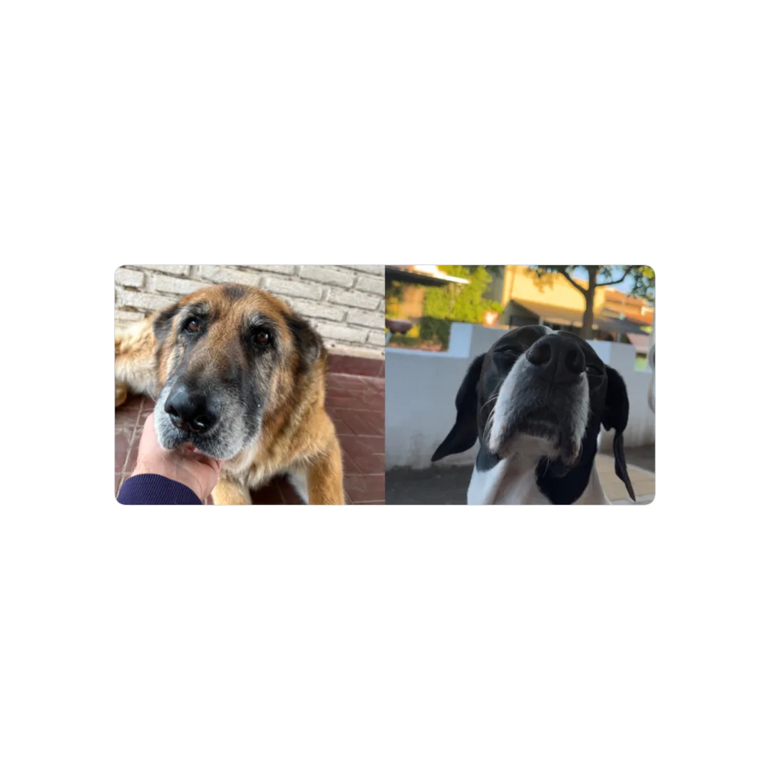 Cami y luna