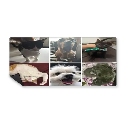 Mousepad Animalitos 90x40 PRO | Custom