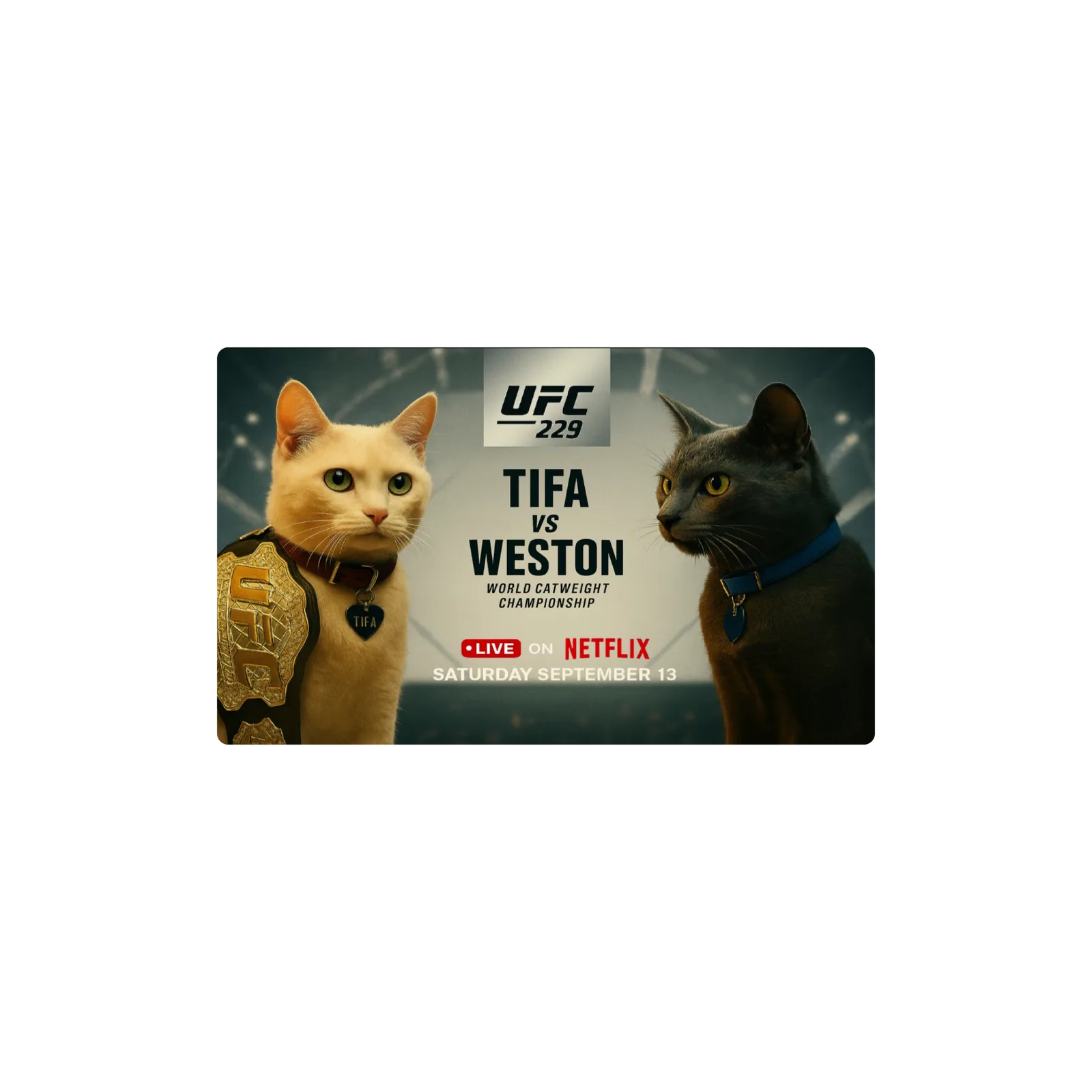 Mousepad UFC Cats 50x30 PRO | Custom