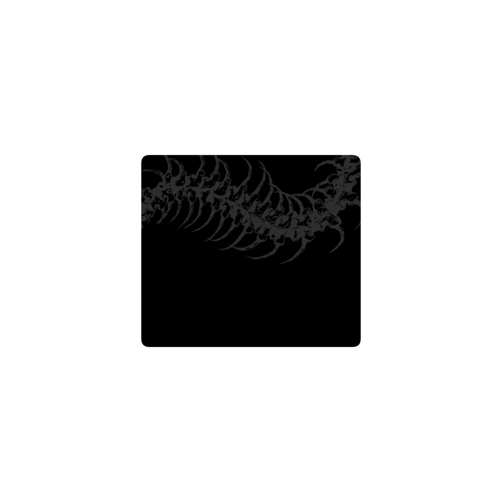 centipede