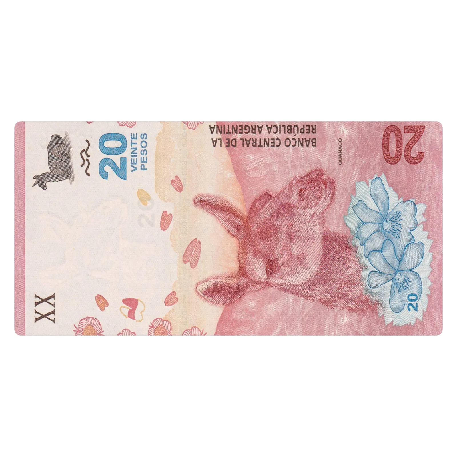 20 pesos guanaco