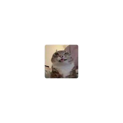 Mousepad Rigby Cat 25x25 PRO | Custom