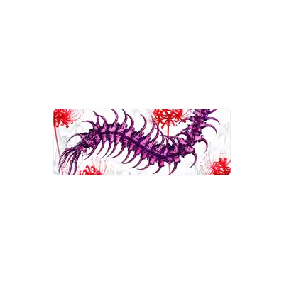 Mousepad centipide 80x30 PRO | Custom