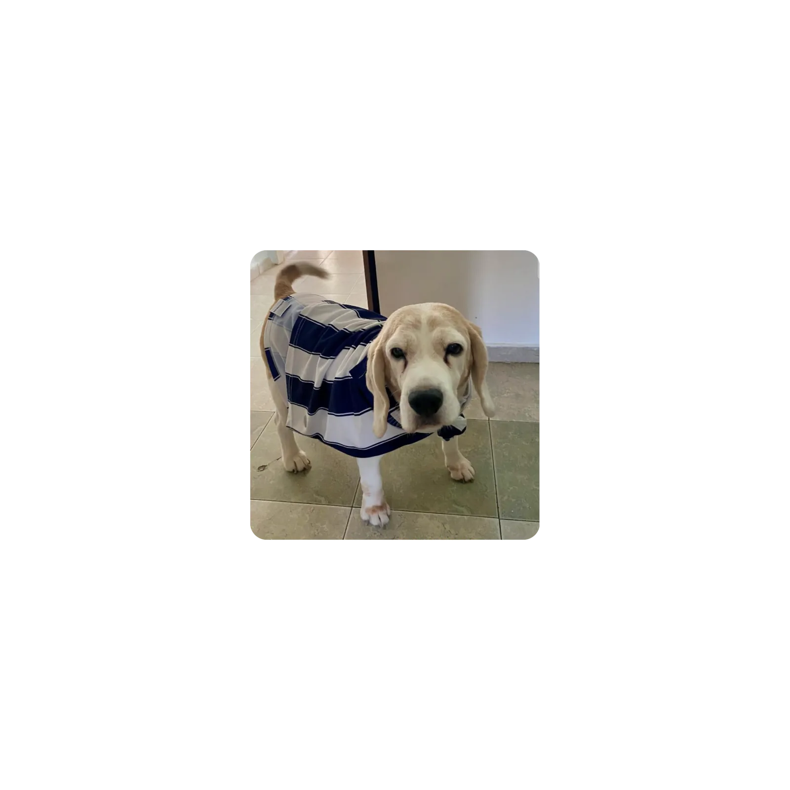 Mousepad Ruck Beagle 25x25 Classic | Custom